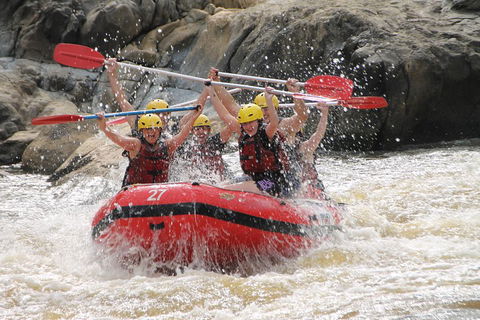 Barron Gorge National Park Half-Day White Water Rafting From Cairns Or Port Douglas - South Australia Travel 5