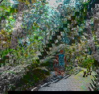 Full Day Cooktown Private Tour - South Australia Travel