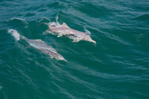 North Stradbroke Island Private Tour With Pickup - South Australia Travel 0