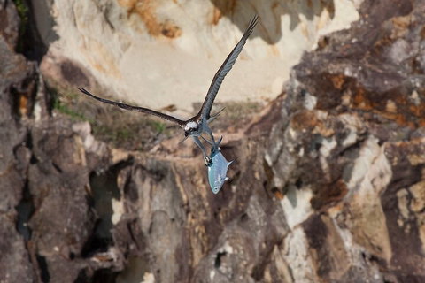 North Stradbroke Island Private Tour With Pickup - South Australia Travel 2