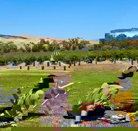 Private Picnic and Wine Tasting Experience in Barossa Valley - South Australia Travel
