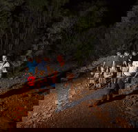 Alice Springs Desert Park Nocturnal Tour - South Australia Travel