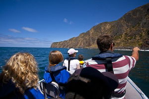 Seal Island Boat Tour from Victor Harbor
