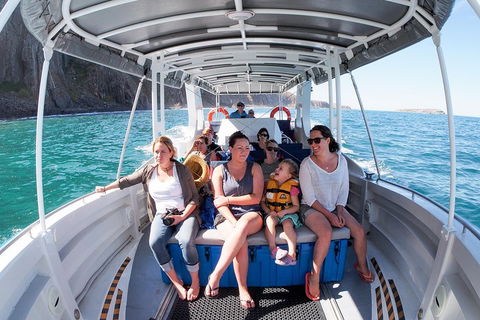 Seal Island Boat Tour From Victor Harbor - South Australia Travel 1