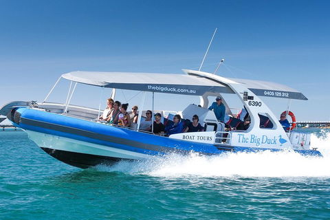 Seal Island Boat Tour From Victor Harbor - South Australia Travel 3