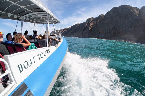 Southern Ocean Adventure From Victor Harbor - South Australia Travel 0