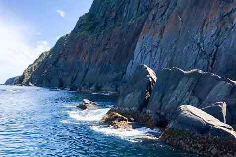 Southern Ocean Adventure From Victor Harbor - South Australia Travel 3