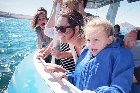 Southern Ocean Adventure From Victor Harbor - South Australia Travel 4