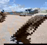 Magnetic Island Tour Maggie Comprehensive - South Australia Travel