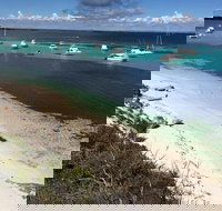 Experience Rottnest with Ferry  Bike Hire from Perth or Fremantle - South Australia Travel