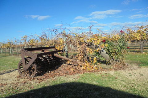 Swan Valley Tour From Perth: Wine, Beer And Chocolate Tastings - South Australia Travel 3