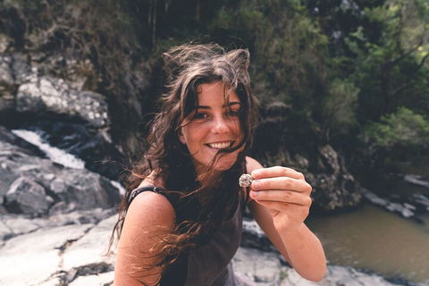 Springbrook AndTamborine Rainforest Tour Incl Natural Bridge And Glow Worm Cave - South Australia Travel 1