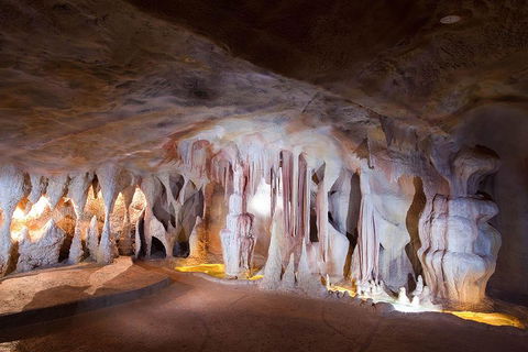 Springbrook AndTamborine Rainforest Tour Incl Natural Bridge And Glow Worm Cave - South Australia Travel 4