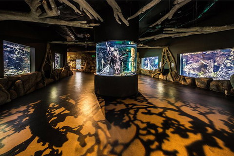 Cairns Aquarium Admission Ticket - South Australia Travel 1