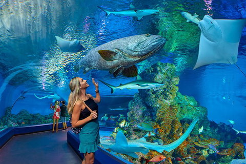 Cairns Aquarium Admission Ticket - South Australia Travel 3