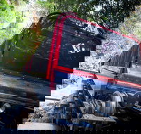 Blue Mountains Hop-on Hop-off Tour with Optional Scenic World Rides - South Australia Travel