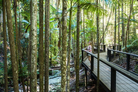 All-Inclusive Fraser Island Day Tour - South Australia Travel 5