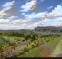 Hunter Valley Wine Tour from Sydney incl Lunch Cheese Chocolate and Distillery - South Australia Travel