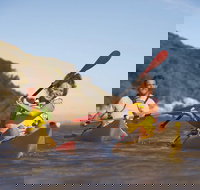 Kangaroo Island Self-Guided Kayaking on the Harriet River - South Australia Travel