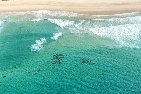 Coastal Helicopter Shared Flight - 20 Minutes - South Australia Travel 4